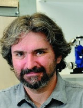 alex binshtok